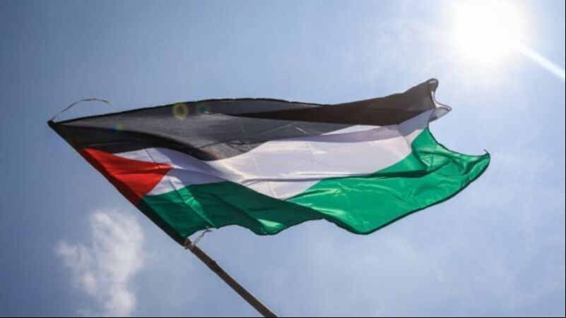 McEntee voices for intervention in ICJ case against Israel McEntee voices for intervention in ICJ case against Israel