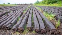 Ireland will take bog conservation ‘massively seriously’, says McConalogue