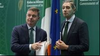 Poisoned chalice or golden opportunity? Candidates to succeed Leo Varadkar