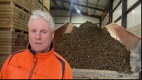 Ireland's favourite potato will be scarce by June, say farmers praying for rain to stop