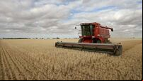 Delay in planting crops will have knock-on effect for farming sector, Teagasc warns