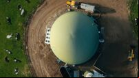 Expressions of interest being sought from biomethane producers to supply new Cork facility 