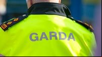 Man arrested after €220k of cannabis seized in Dublin