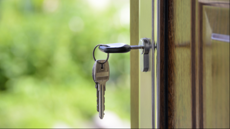 'Failing rental market' is result of 'government inaction' - IPOA 'Failing rental market' is result of 'government inaction' - IPOA