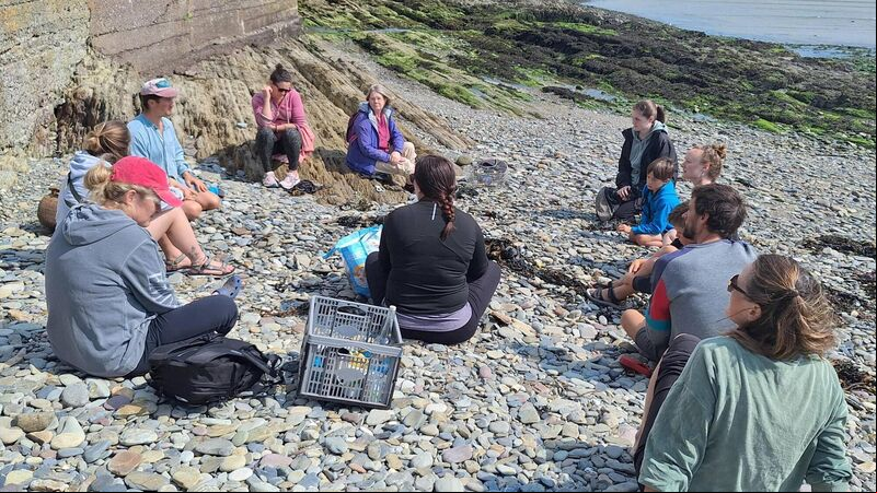Foraging for seaweed on a Cork beach - here's what I learned... Foraging for seaweed on a Cork beach - here's what I learned...