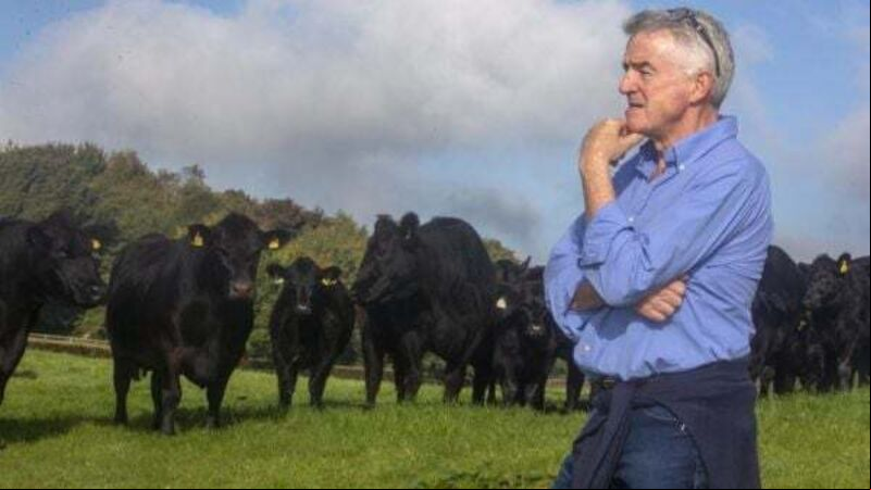 Michael O’Leary ‘astonished’ by green power of his farm’s solar s Michael O’Leary ‘astonished’ by green power of his farm’s solar s