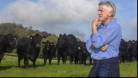 Michael O’Leary ‘astonished’ by green power of his farm’s solar s