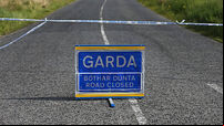 Garda stock