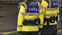 Irish police
