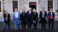 Irish Government formation