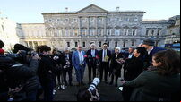 Irish Government formation