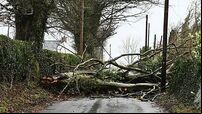 Winter weather Jan 24th 2025