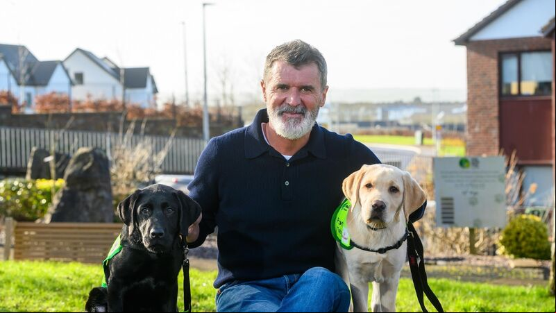Roy Keane leads call for more puppy raisers Roy Keane leads call for more puppy raisers