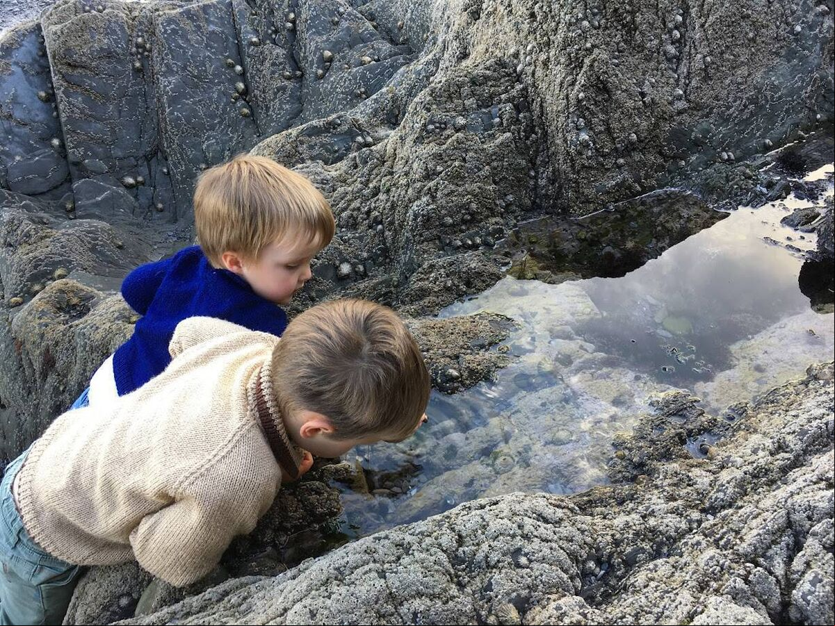 Ann's two boys were encouraged to explore the natural world from an early age. Picture: Ann Haigh Ann's two boys were encouraged to explore the natural world from an early age. Picture: Ann Haigh