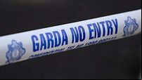 Army bomb squad called to Gorey property after gardaí find suspect device