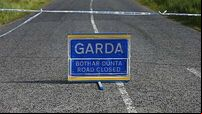 Two women who died in Cork collision named locally