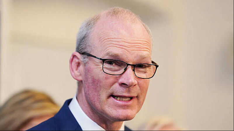 Ex-minister backs calls for government for firms affected by US tariffs Ex-minister backs calls for government for firms affected by US tariffs