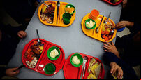 Nutritional value of hot school meals to be reviewed by Government