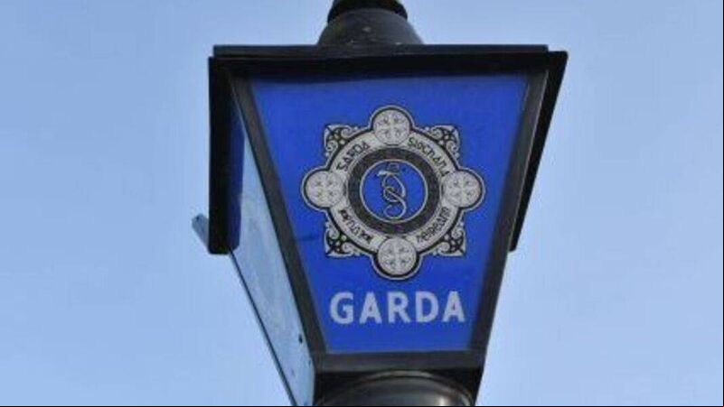 Gardaí launch investigation following discovery of human skull in West Cork Gardaí launch investigation following discovery of human skull in West Cork