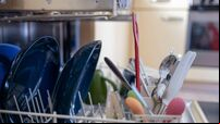 How to keep your dishwasher running efficiently all summer long