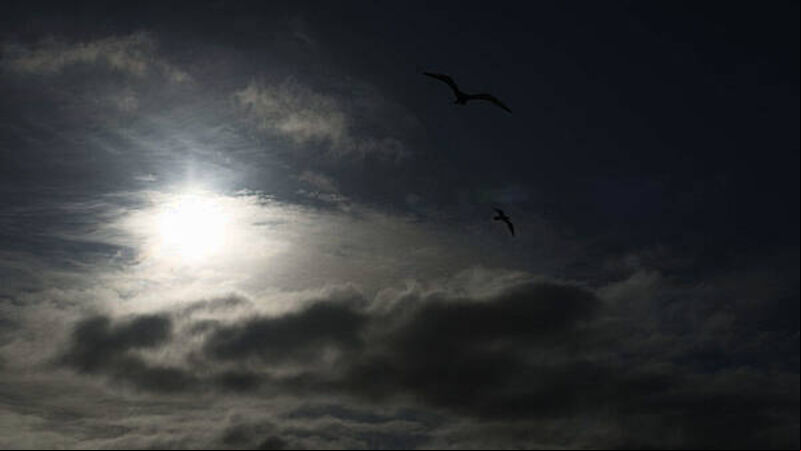 Thunderstorm warning in place for three counties Thunderstorm warning in place for three counties