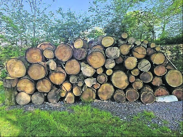 A log pile wall makes an attractive feature in a garden and is good for wildlife too A log pile wall makes an attractive feature in a garden and is good for wildlife too