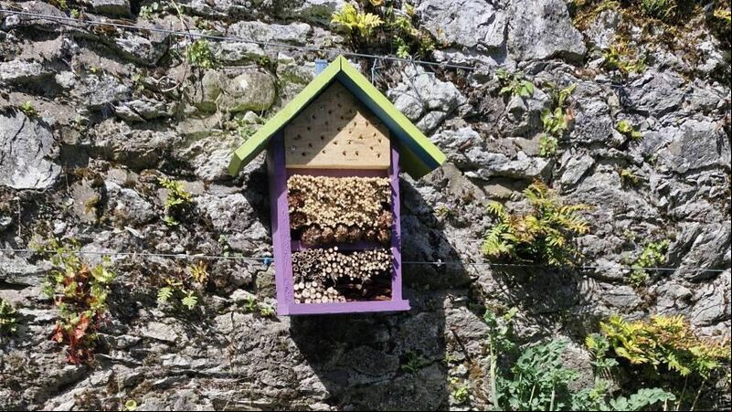 In the garden: How to create habitats within your garden In the garden: How to create habitats within your garden