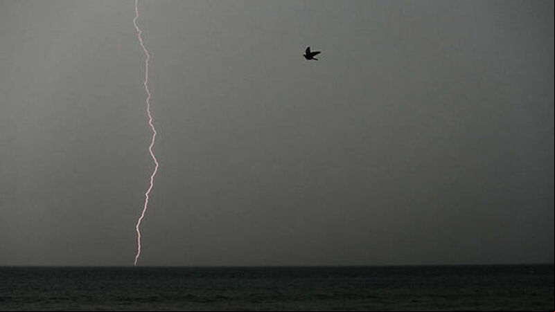 Met Éireann issues immediate thunderstorm warning for five counties Met Éireann issues immediate thunderstorm warning for five counties