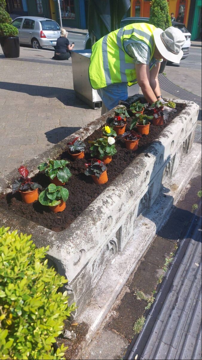 Mayfield St Luke's Tidy Towns have been flower planting in recent weeks. Mayfield St Luke's Tidy Towns have been flower planting in recent weeks.