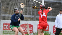 Cork head to Tipp for camogie double bill after ruthless demolition of Limerick