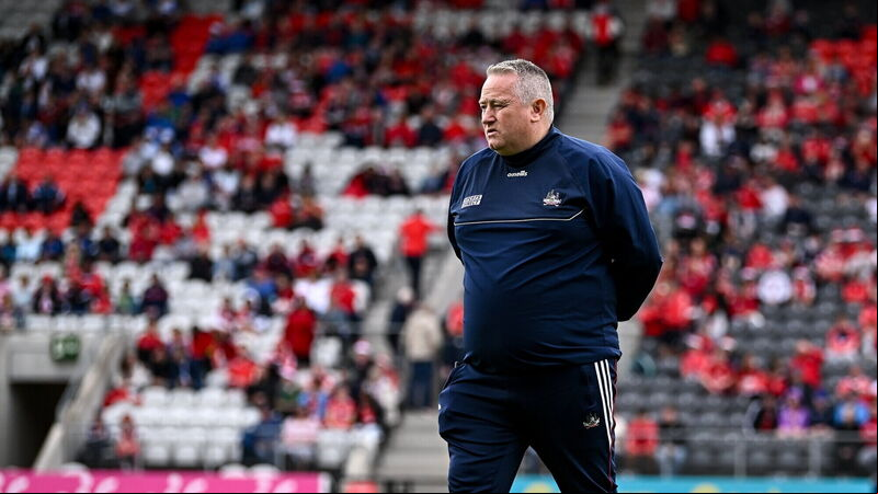 Pat Ryan: Limerick set the standard for all hurling counties with their attitude and effort