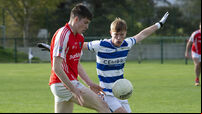 Beara frustrated over withdrawal from championship: 'Players have ed up the chance to play senior football'