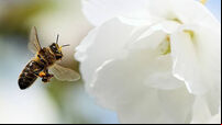 Spring Weather March 2025