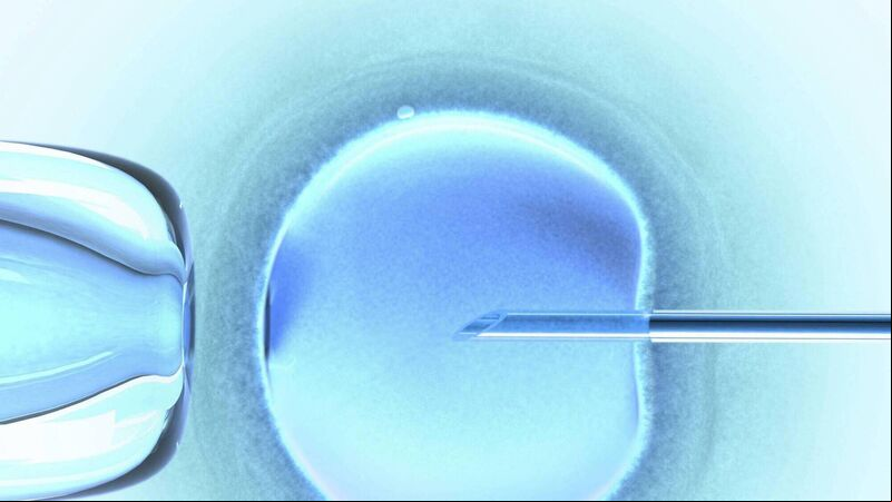Centre to assist human reproduction set to open in Cork Centre to assist human reproduction set to open in Cork