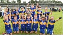 Carrigaline win John Kerins Cup for first time