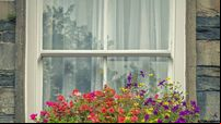 Window Box
