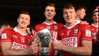 Cork hurling talking points after Rebels ended Limerick's reign in Munster