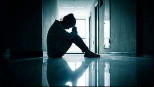 <p>A spokesperson for HSE South West confirmed that there are 15 children in Cork waiting for a CAREDS appointment, with an average waiting time of 1.88 months.</p>