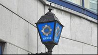 Man arrested after several vehicles set alight in Cork Airport Business Park
